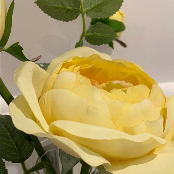 Meet your Posher, Sophie - Picture 1 of 1